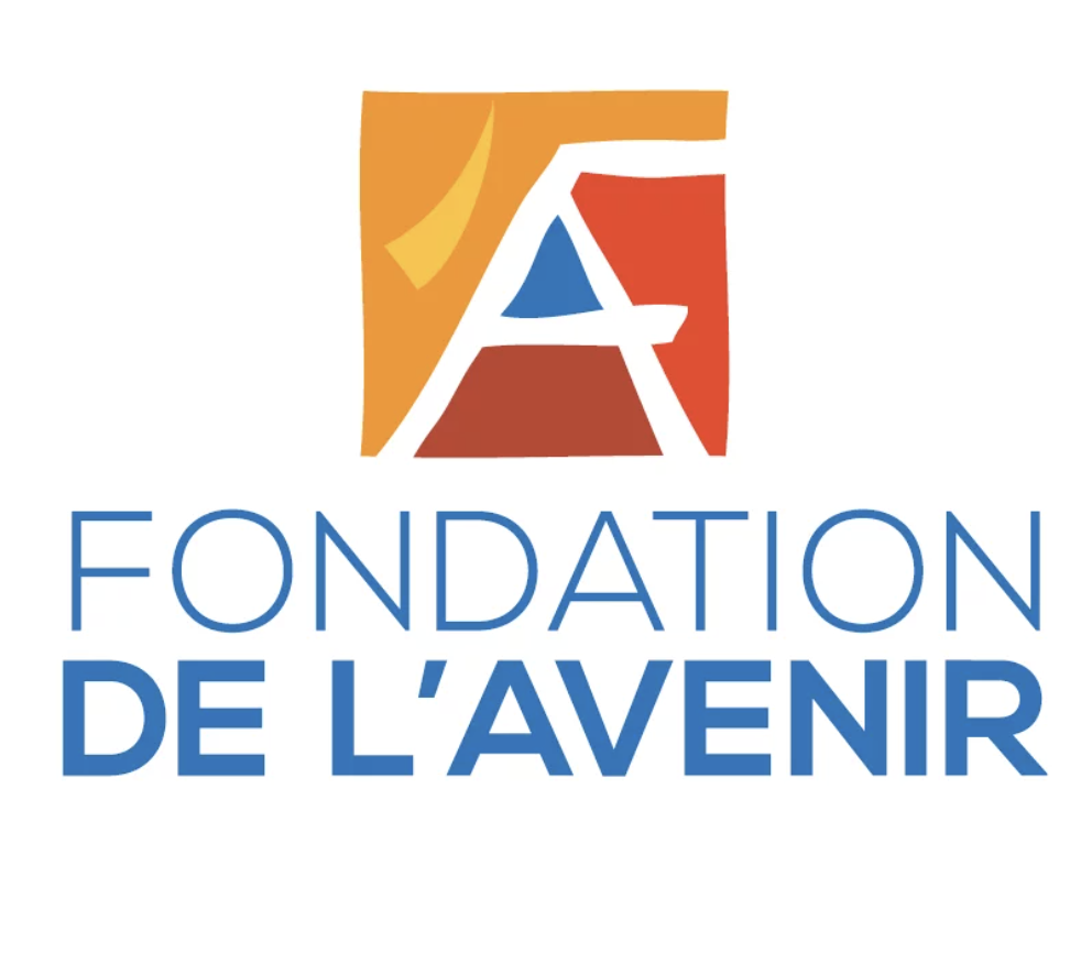 Fondation de l&rsquo;Avenir