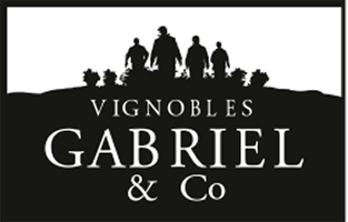 Gabriel & Co logo